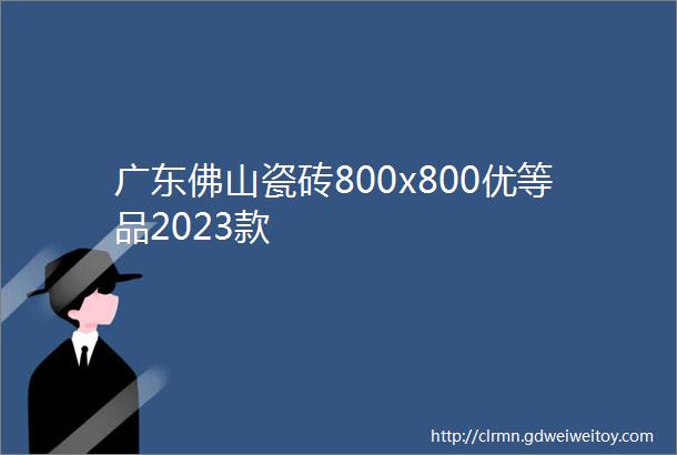 广东佛山瓷砖800x800优等品2023款